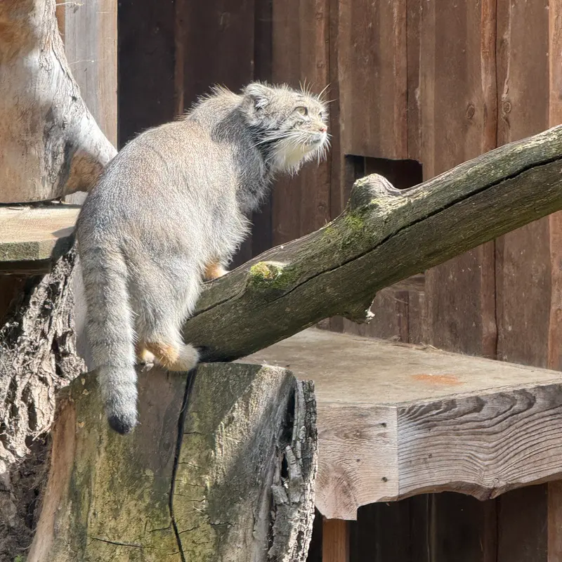 タリン動物園のマーズの写真