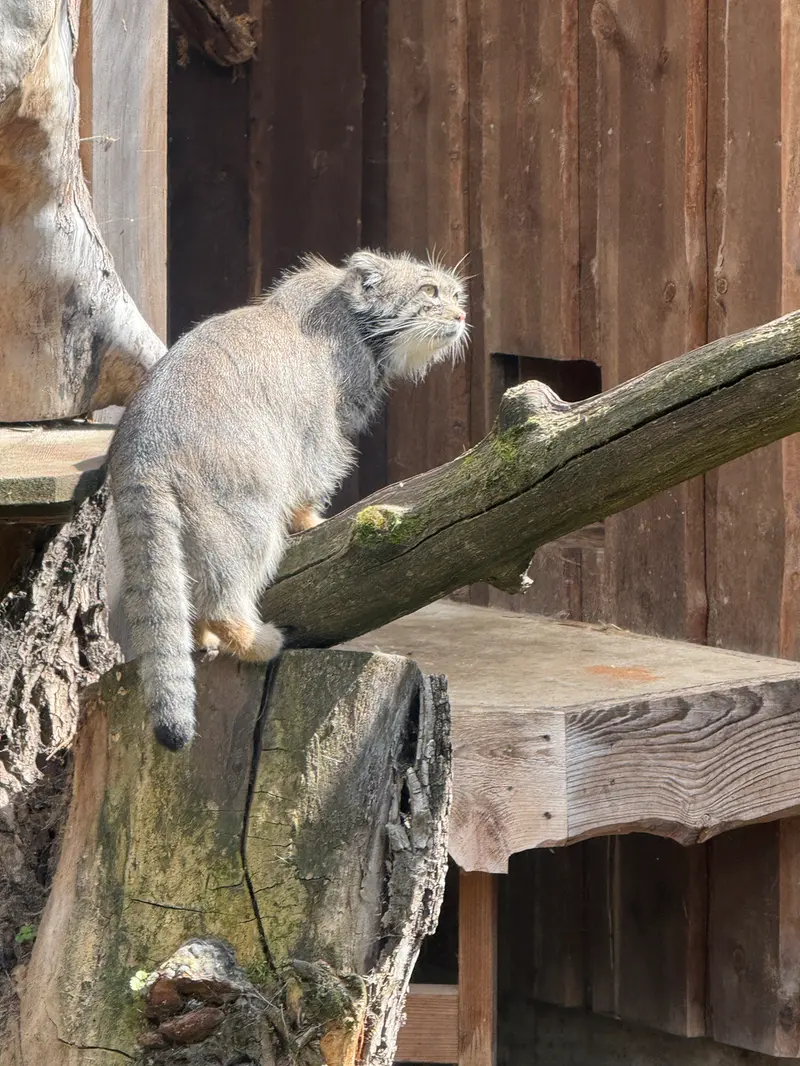 タリン動物園のマーズの写真