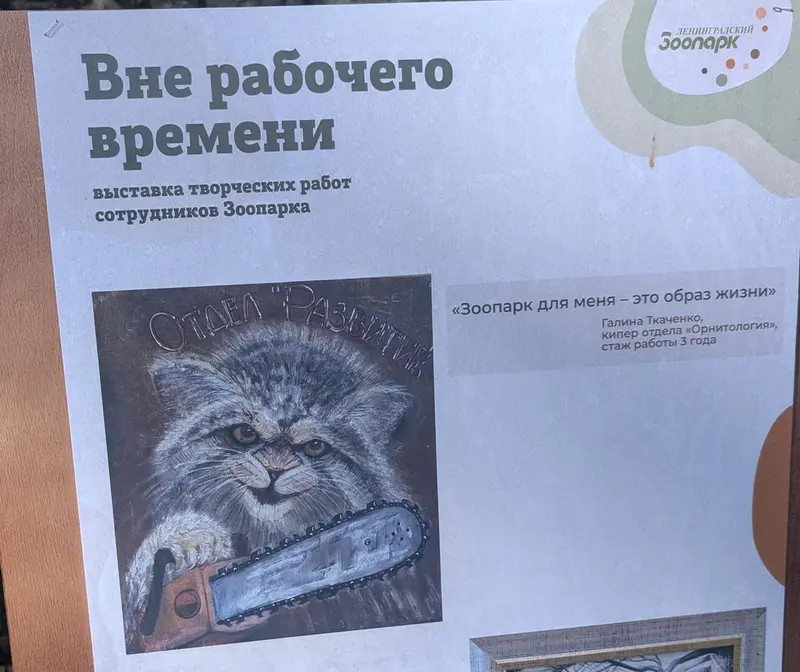 レニングラード動物園のマヌルネコの写真