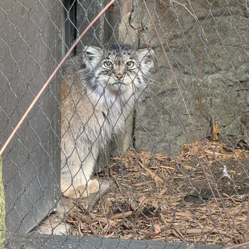 プロスペクト・パーク動物園のサルナイの写真