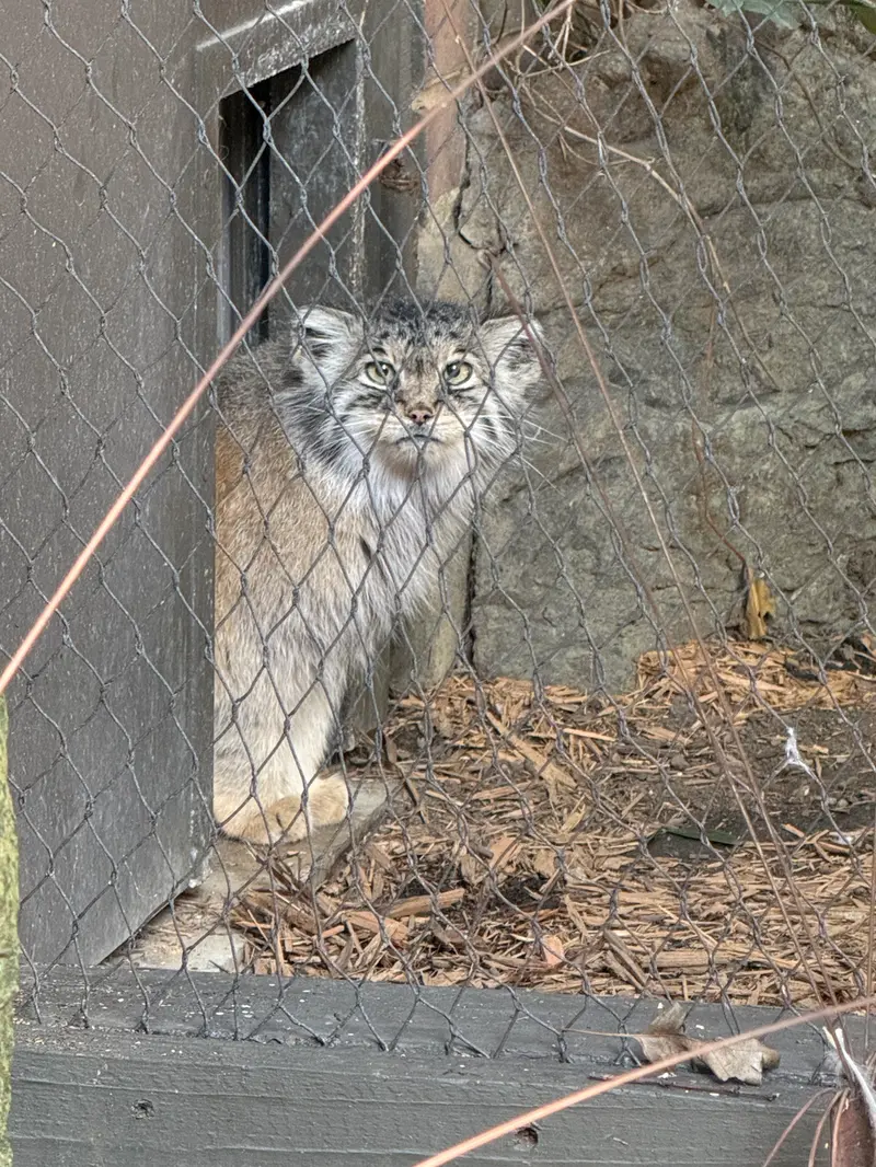 プロスペクト・パーク動物園のサルナイの写真