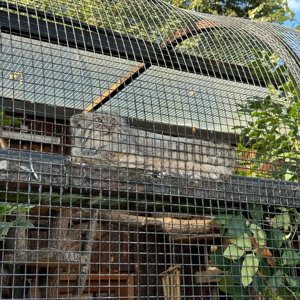 レニングラード動物園のシューの写真