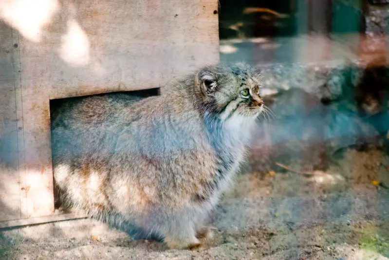 マクデブルク動物園のマヌエラの写真