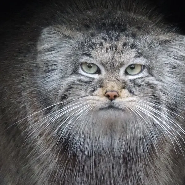 グダニスク動物園のウラの写真