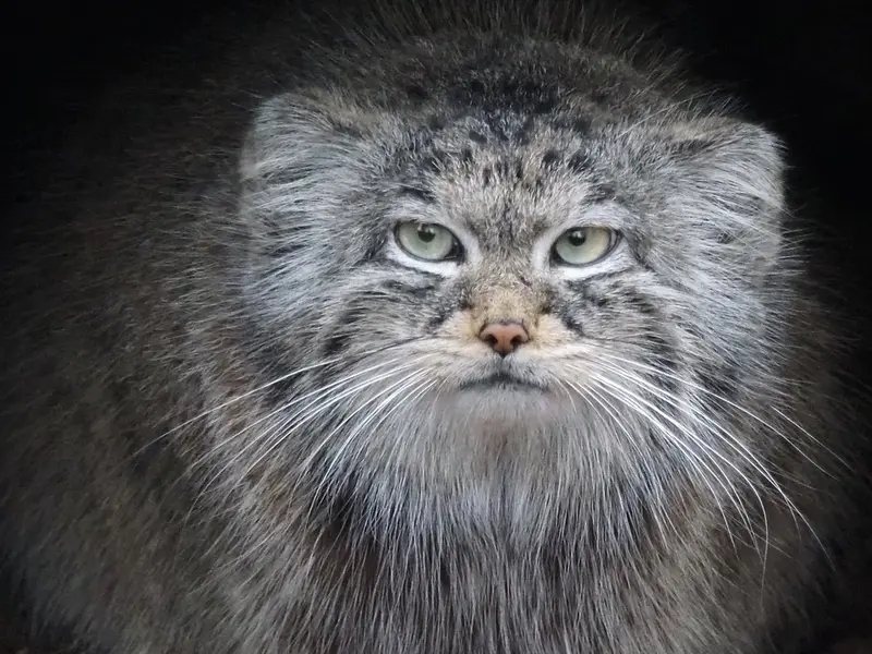 グダニスク動物園のウラの写真