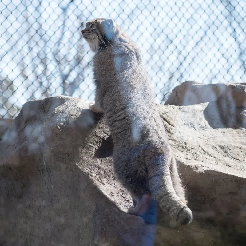 埼玉県こども動物自然公園のオトの写真
