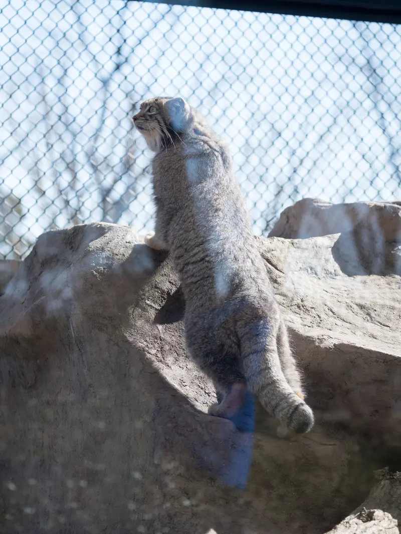 埼玉県こども動物自然公園のオトの写真