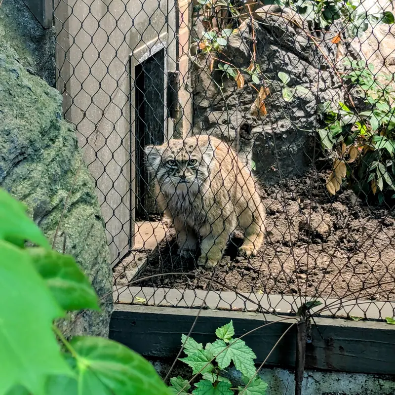 プロスペクト・パーク動物園のサルナイの写真