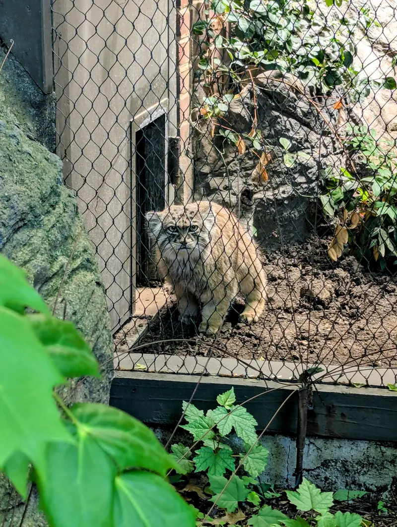 プロスペクト・パーク動物園のサルナイの写真