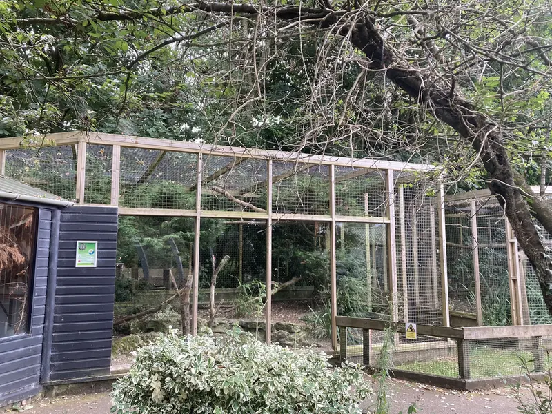 バナム動物園のマヌルネコの写真