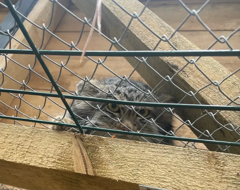 動物園「ナ・ランプシュケ」のバユンの写真