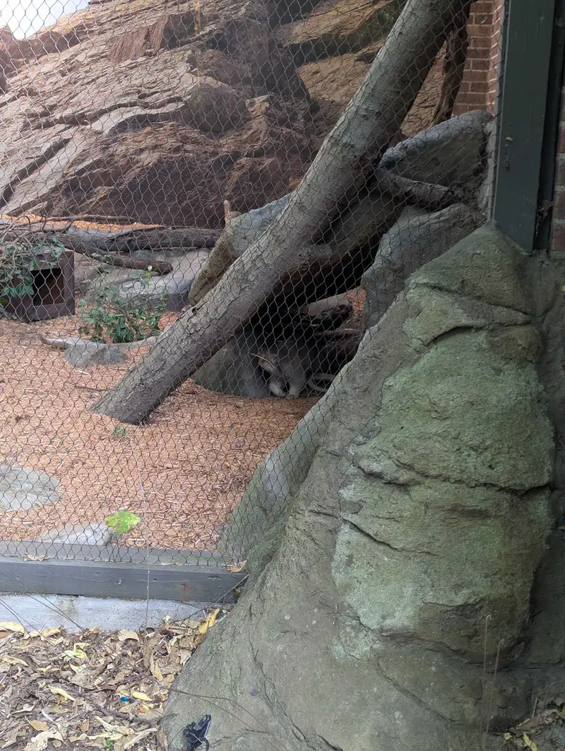 プロスペクト・パーク動物園のサルナイの写真