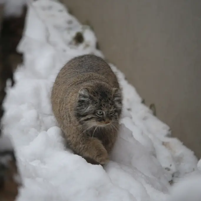 グダニスク動物園のウラの写真