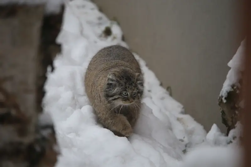 グダニスク動物園のウラの写真