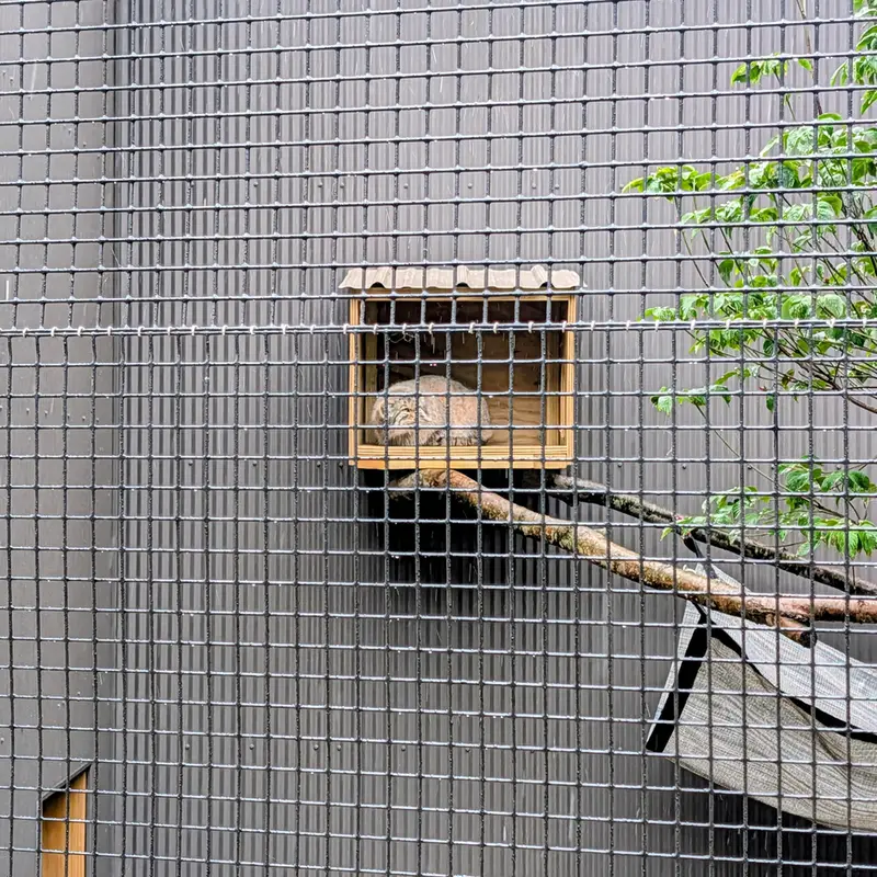 エルムウッド・パーク動物園のレザの写真