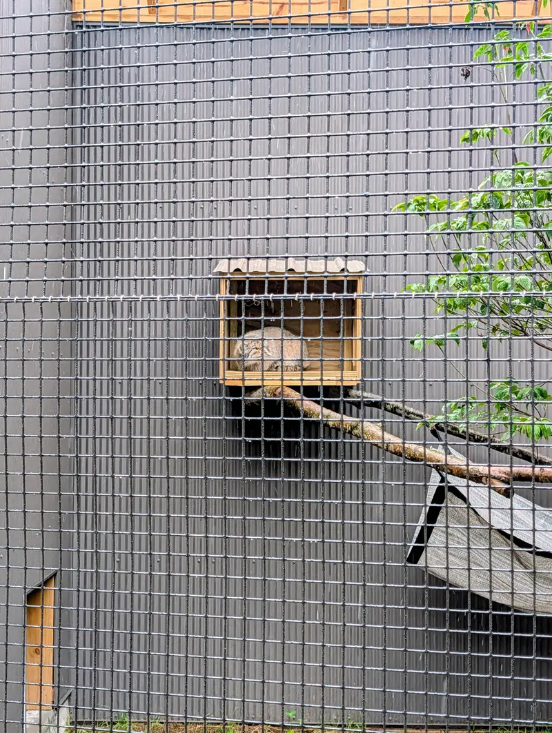 エルムウッド・パーク動物園のレザの写真