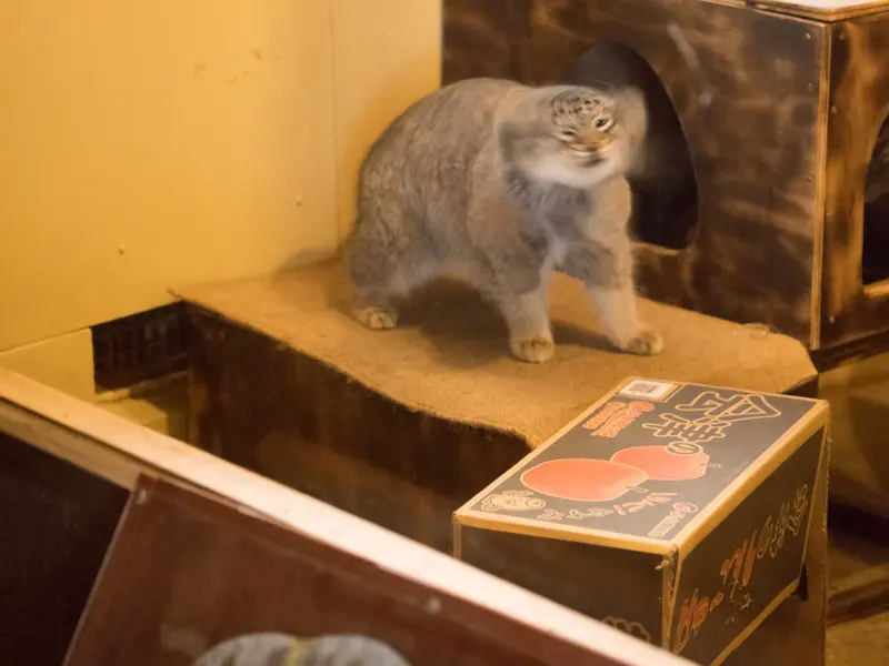 埼玉県こども動物自然公園のオトの写真