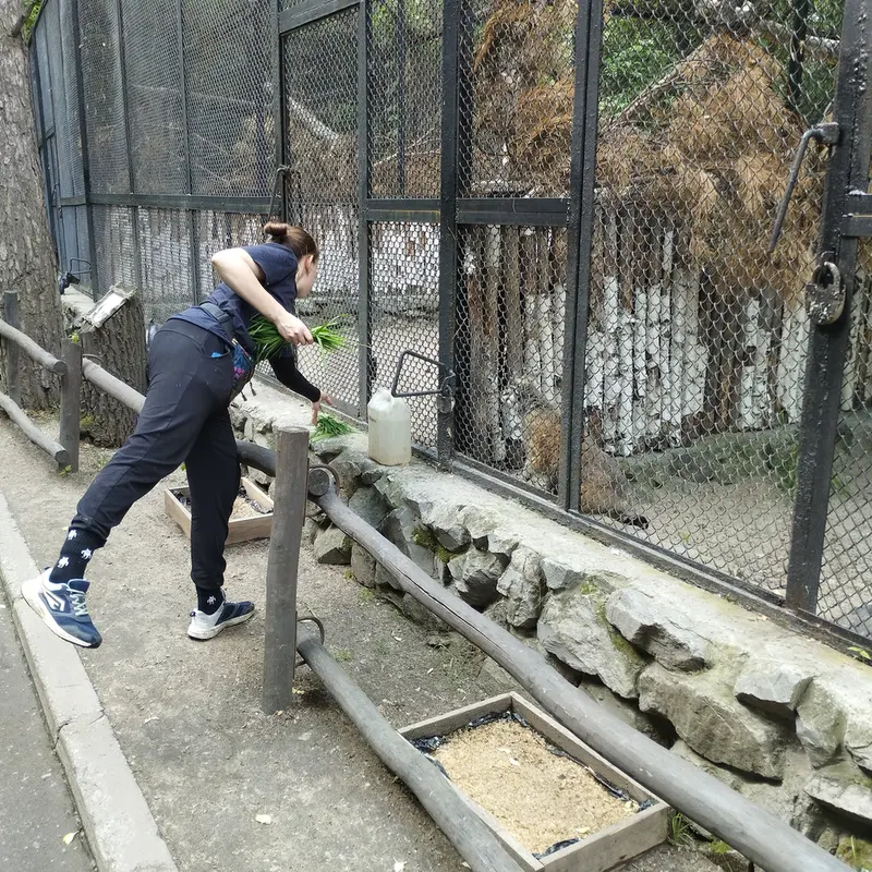 ノヴォシビルスク動物園のジョージの写真