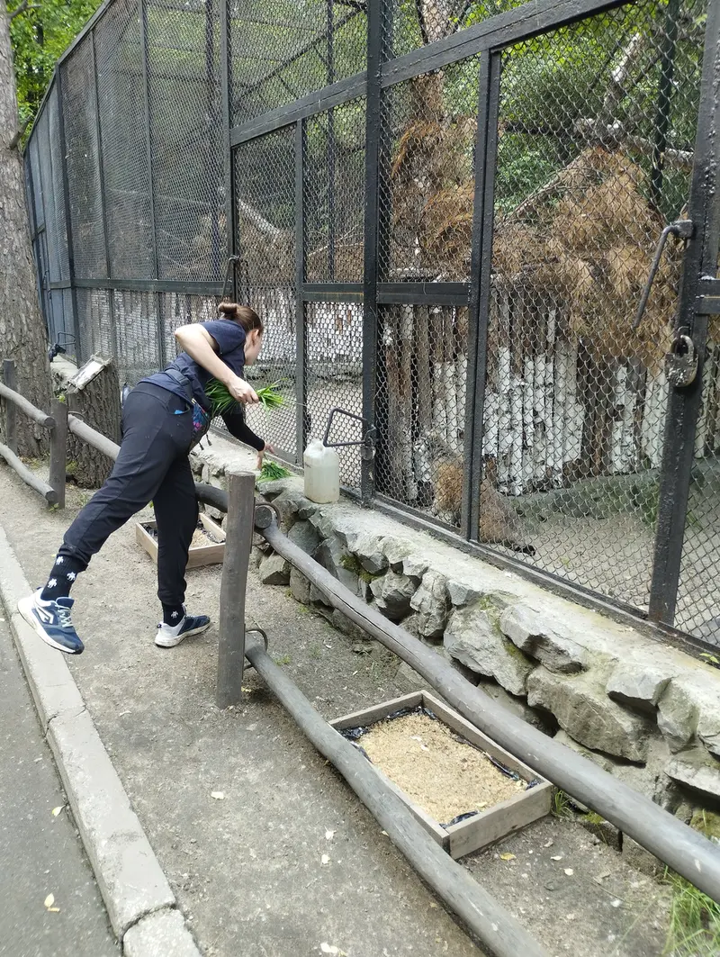 ノヴォシビルスク動物園のジョージの写真