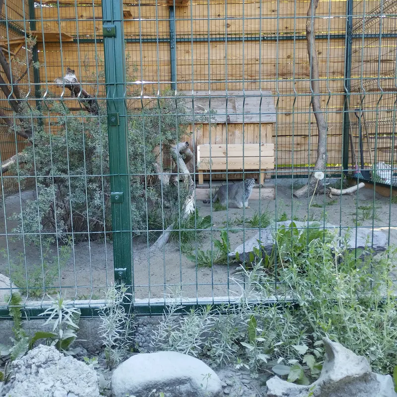 バルナウル動物園「レースナヤ・スカースカ」のペペの写真