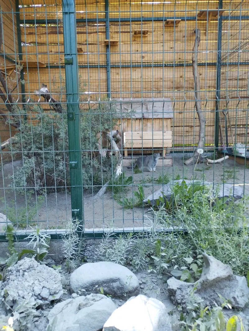 バルナウル動物園「レースナヤ・スカースカ」のペペの写真