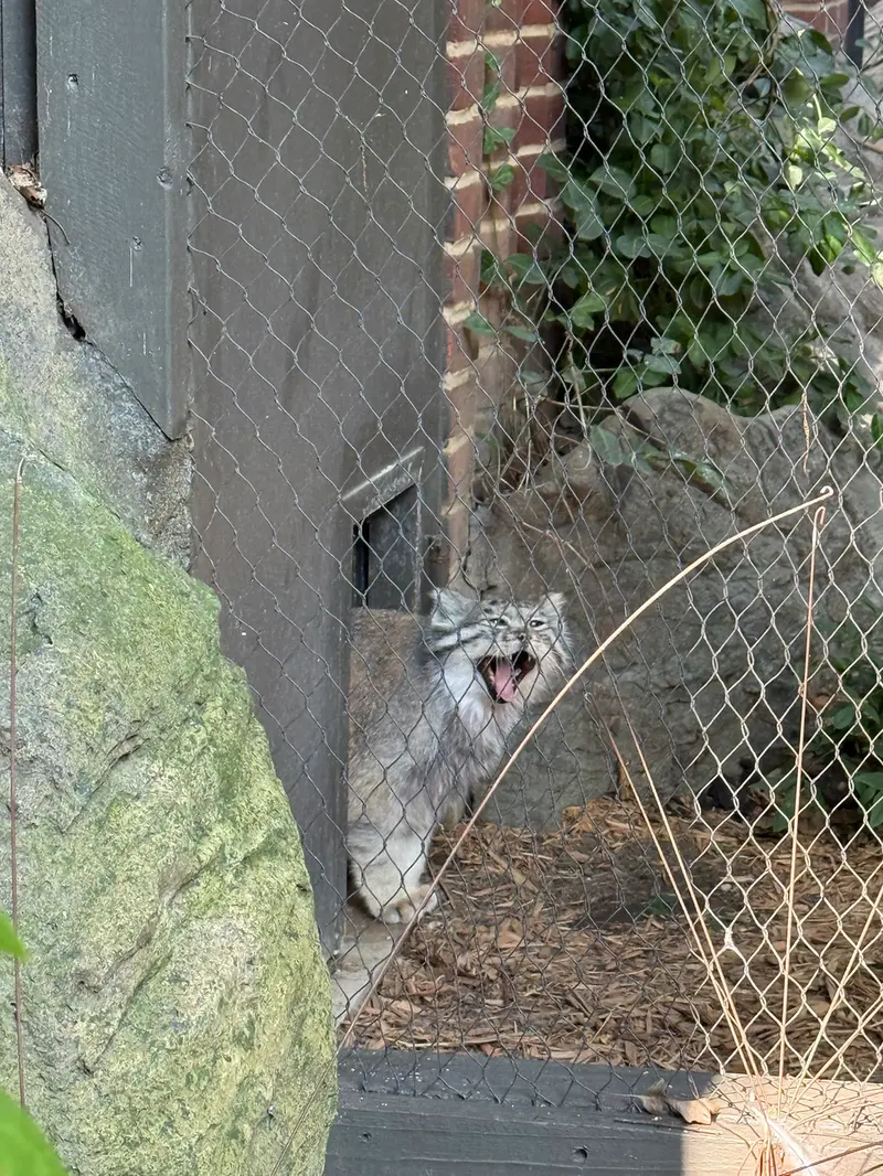 プロスペクト・パーク動物園のバトゥの写真