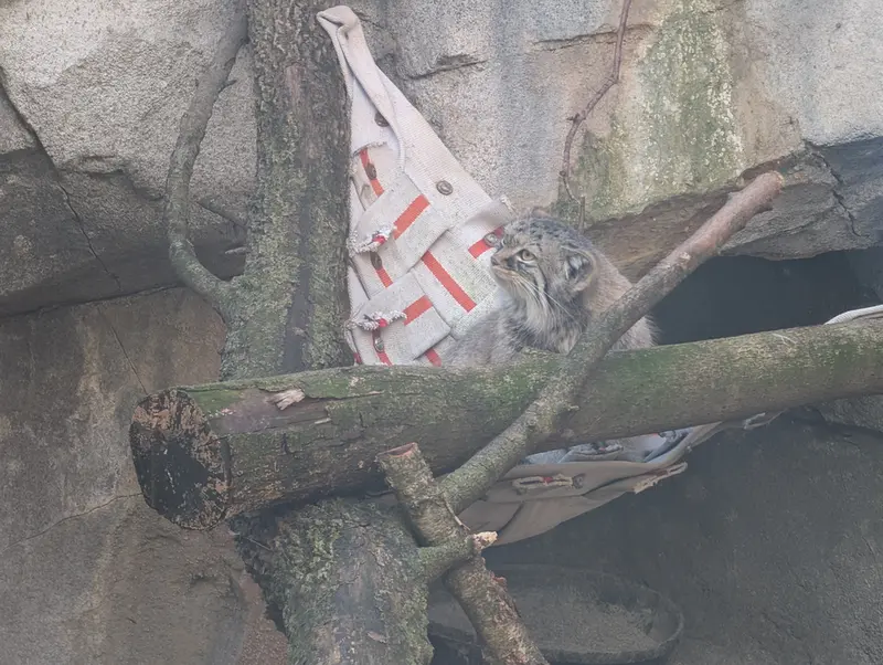 コロンバス動物園・水族館のミーラの写真