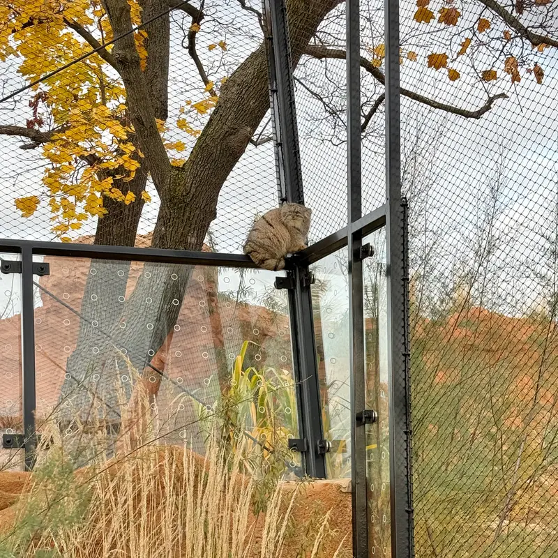 プラハ動物園のプリンセッサの写真