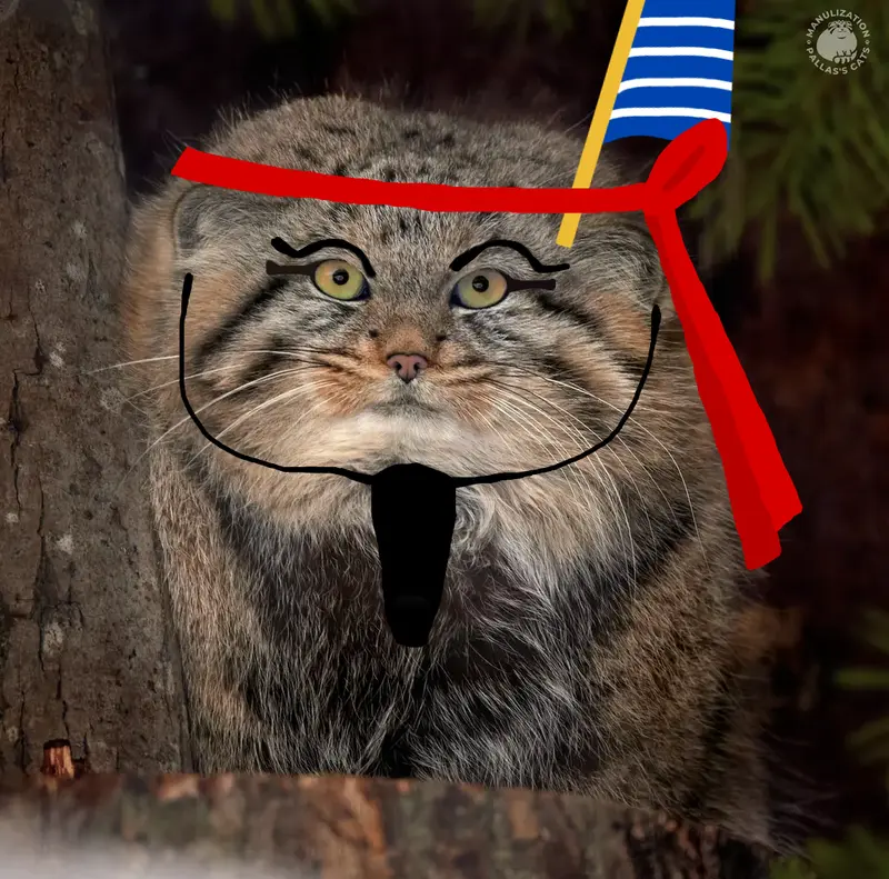 シューの写真