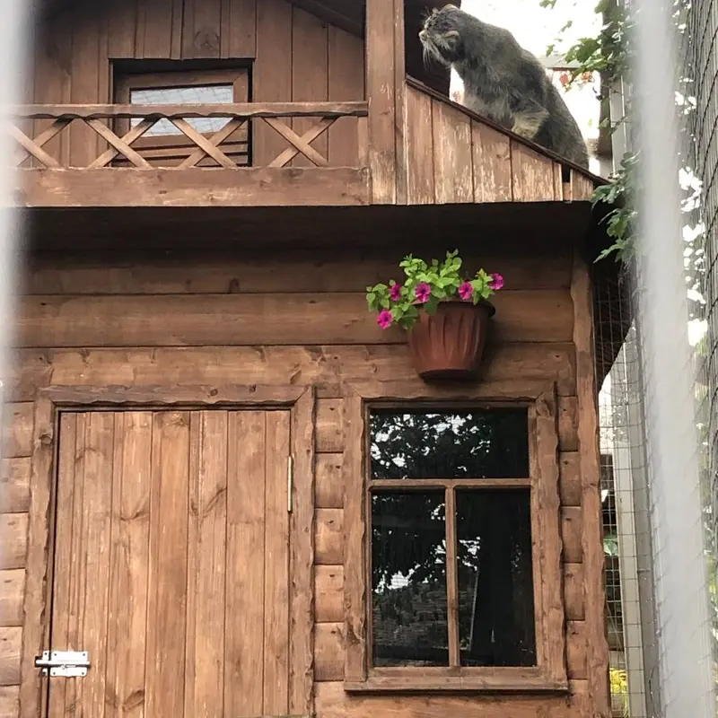 イジェフスク動物園（ウドムルト動物園）のアルタイの写真