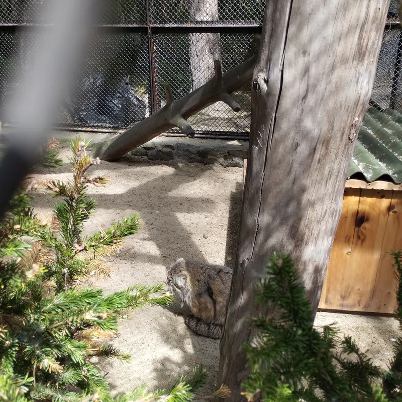 ノヴォシビルスク動物園のゼレノゴルスクの写真
