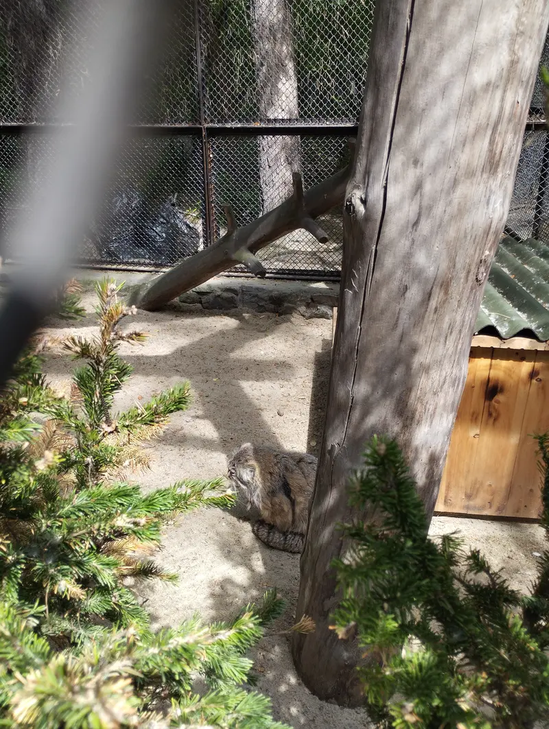 ノヴォシビルスク動物園のゼレノゴルスクの写真