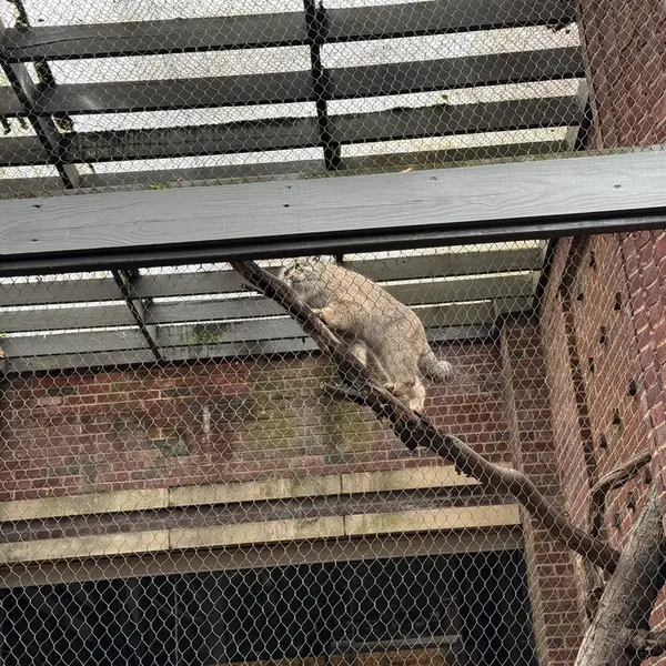 プロスペクト・パーク動物園のバトゥの写真