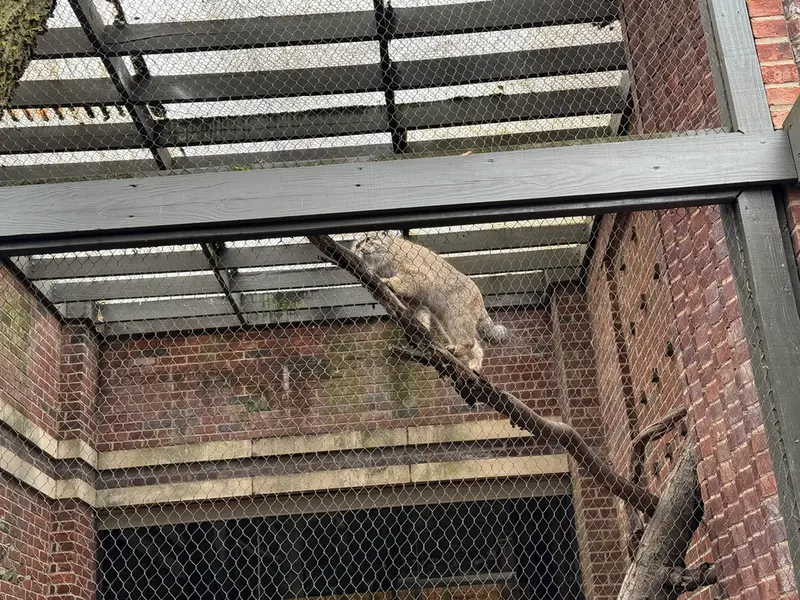 プロスペクト・パーク動物園のバトゥの写真