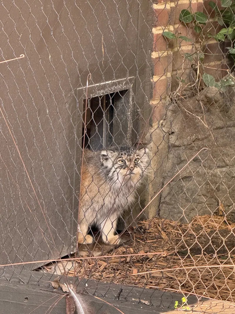 プロスペクト・パーク動物園のサルナイの写真