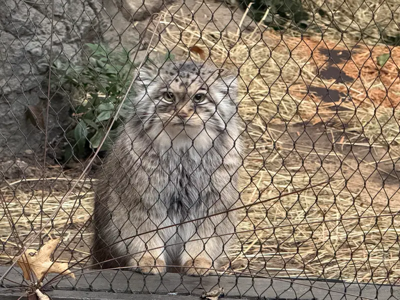 プロスペクト・パーク動物園のサルナイの写真