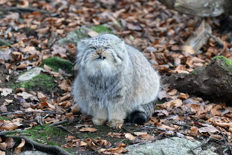 ノルデンス・アークのパブの写真