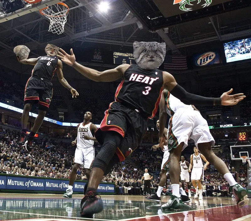 ゼレノゴルスク、ボルとグレイの写真