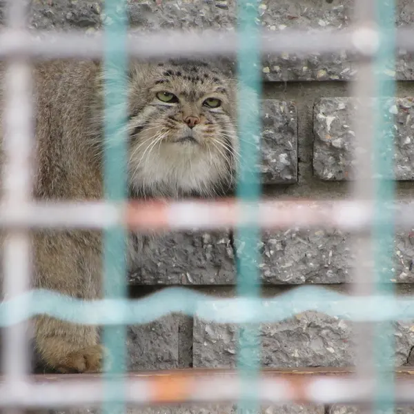 マクデブルク動物園のジョナサンの写真