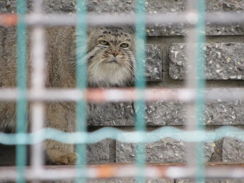 マクデブルク動物園のジョナサンの写真