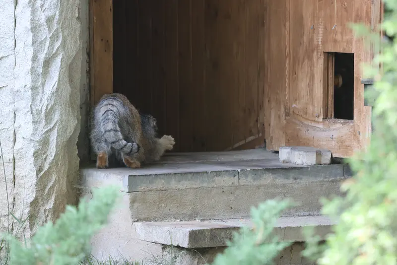 モスクワ動物園のティモフェイの写真