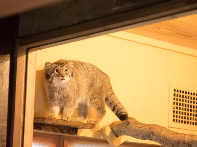 埼玉県こども動物自然公園のオトの写真