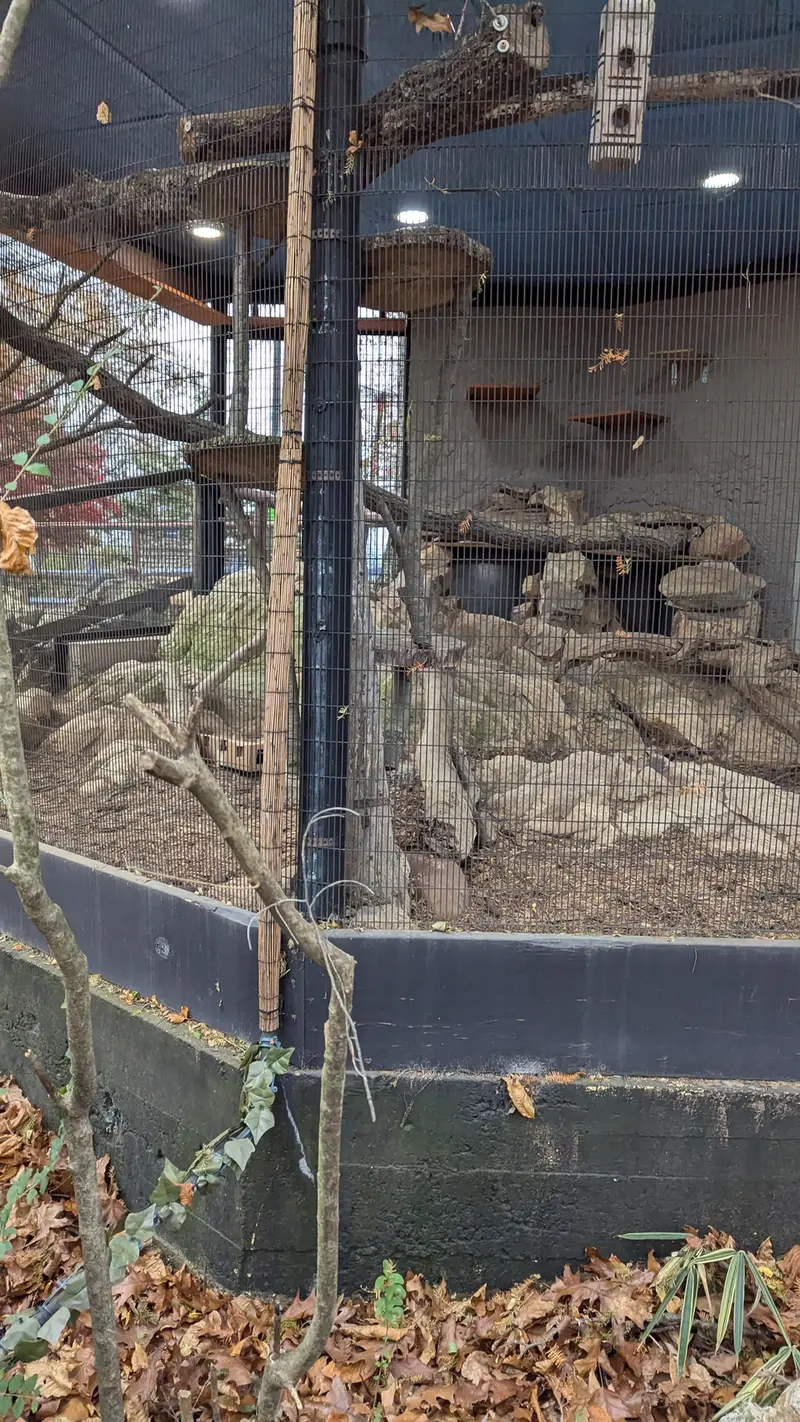 ミル・マウンテン動物園のノルブの写真