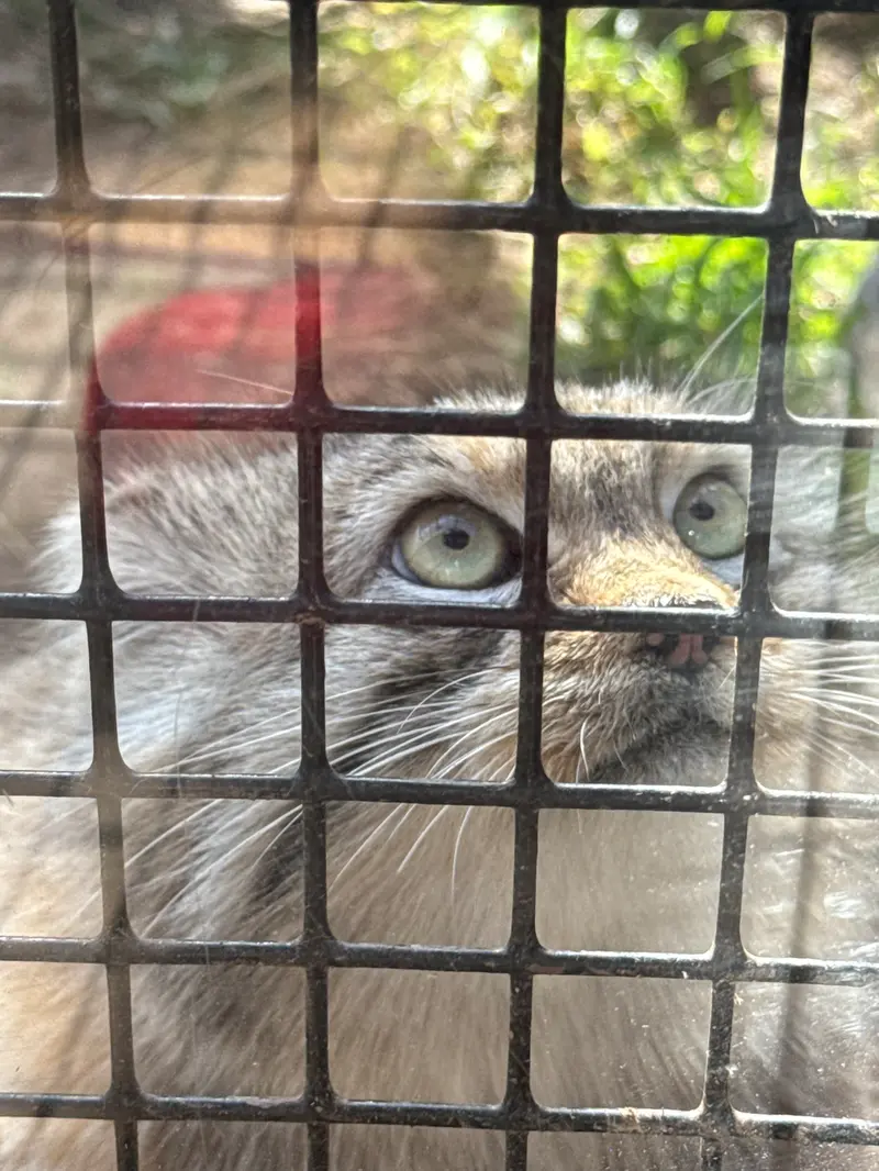 エルムウッド・パーク動物園のレザの写真