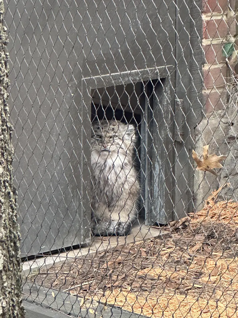 プロスペクト・パーク動物園のバトゥの写真