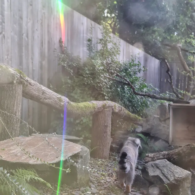 トレゴムール動物園のアルタイの写真