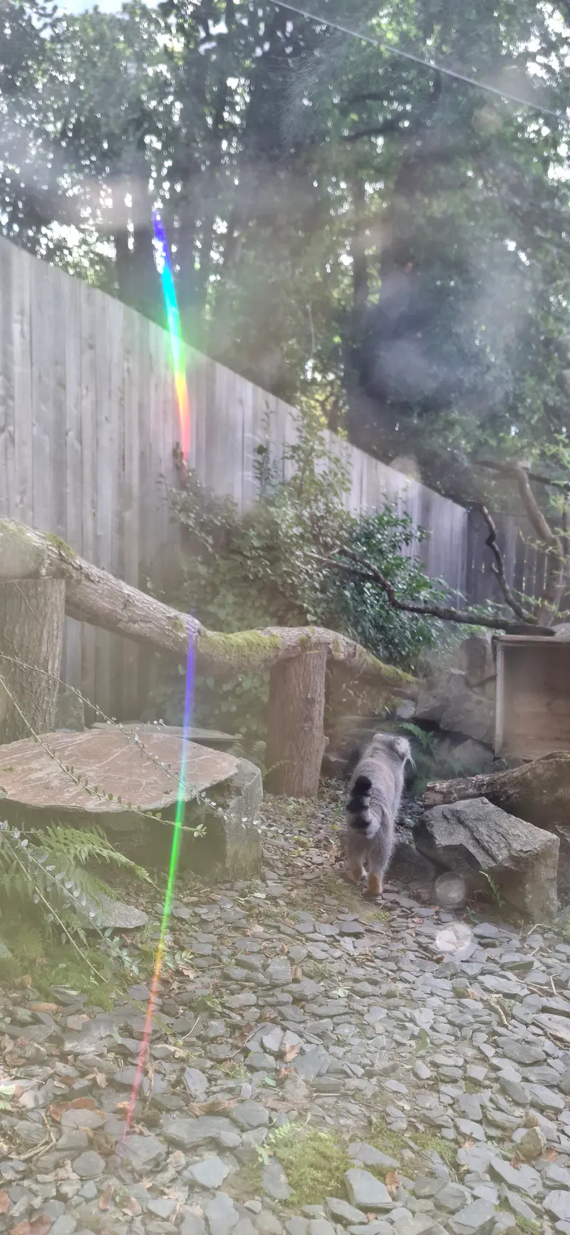 トレゴムール動物園のアルタイの写真