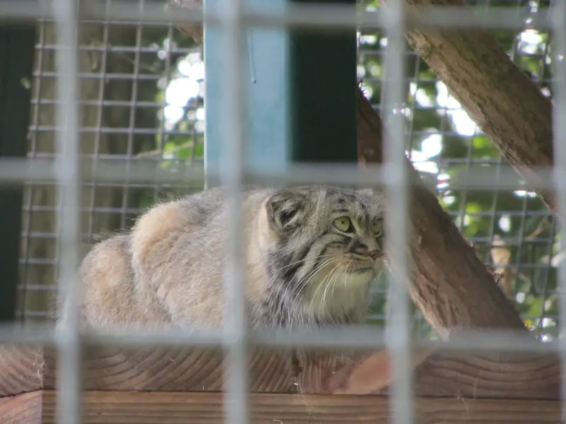 ザールブリュッケン動物園のカール・ハインツの写真