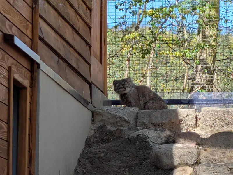グダニスク動物園のマヌエルの写真