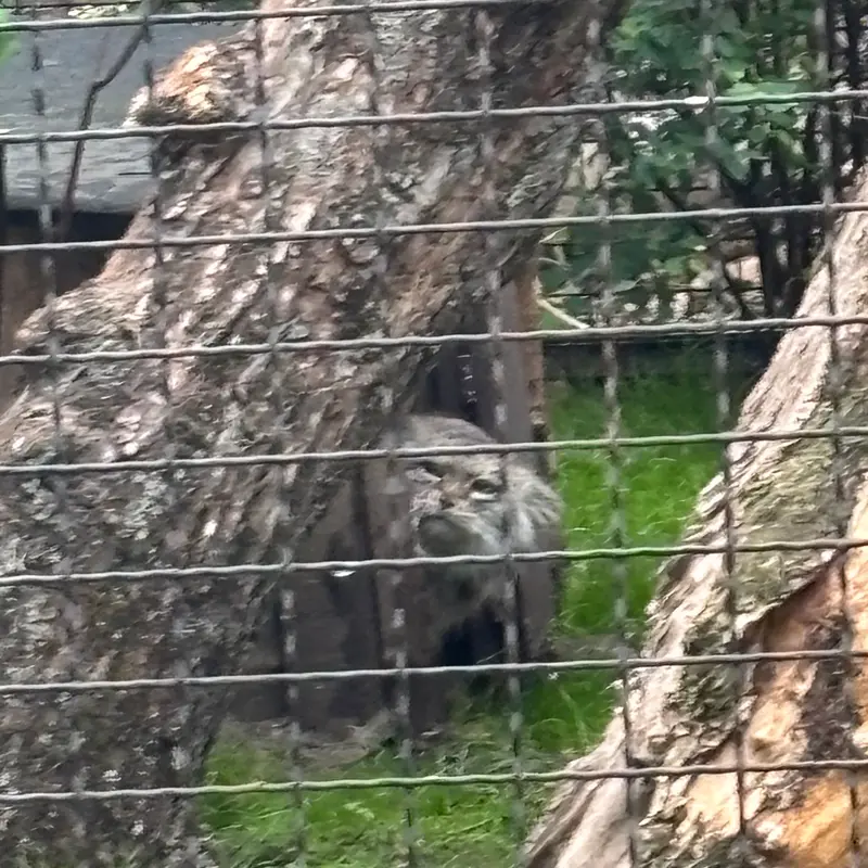 ワルシャワ動物園のジェシーの写真